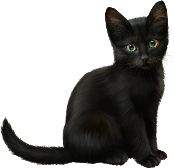 1 - Cat (700x670), Png Download