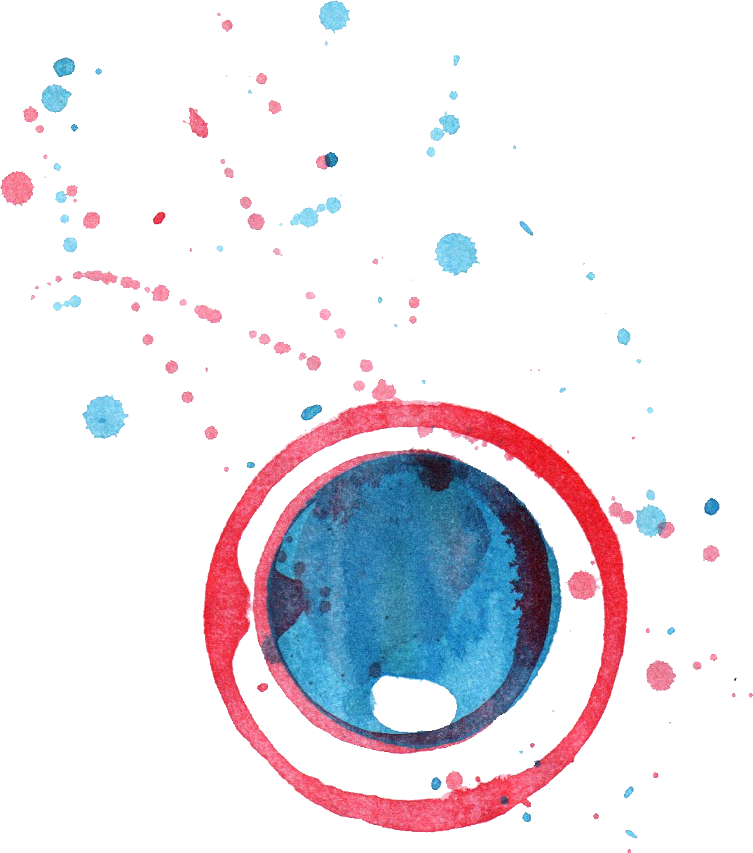 Free Download - Circle (1074x1217), Png Download