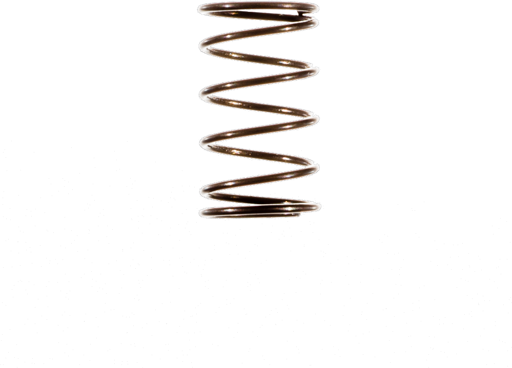 Seimitsu Spring - Bronze (1000x1000), Png Download