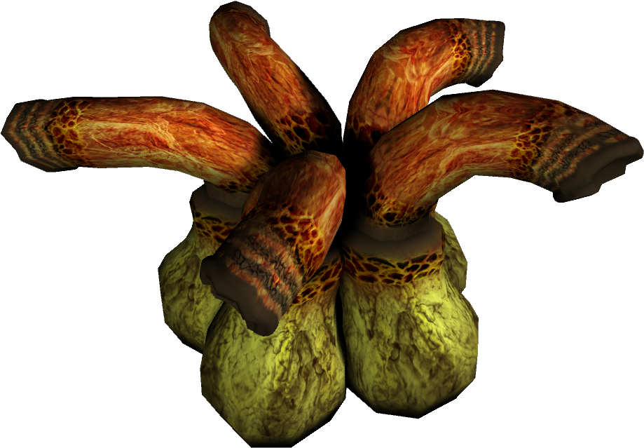 Ropa - Gourd (1024x768), Png Download