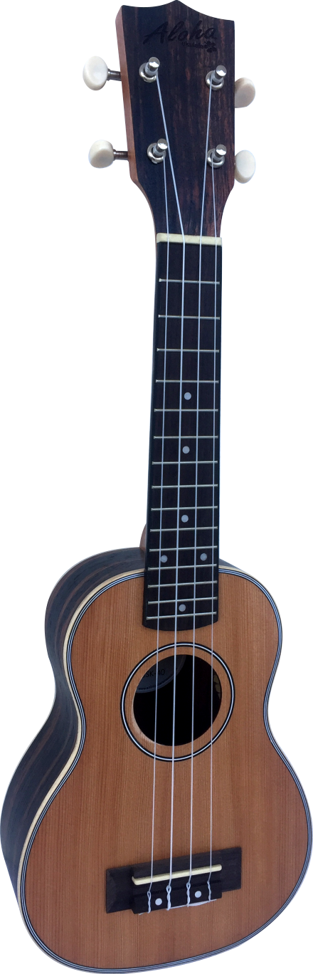 Nueva Línea - Acoustic Guitar (440x1368), Png Download