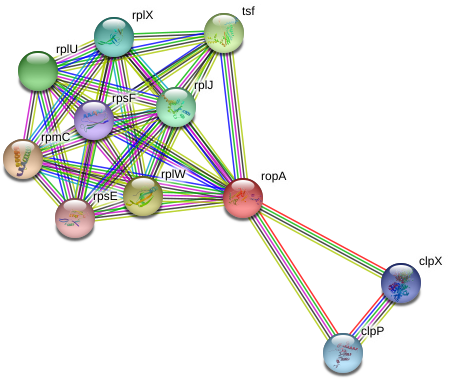 Circle (976x415), Png Download
