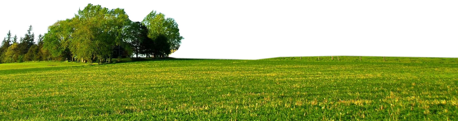 Footer 10 Sep 2014 - Field (1910x505), Png Download