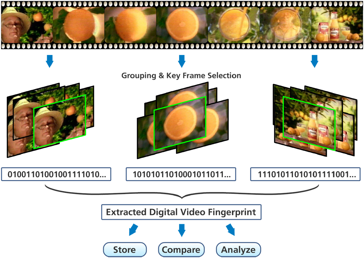 And Granularity Of Fingerprints To Match Specific Use - Video Fingerprint (1170x860), Png Download
