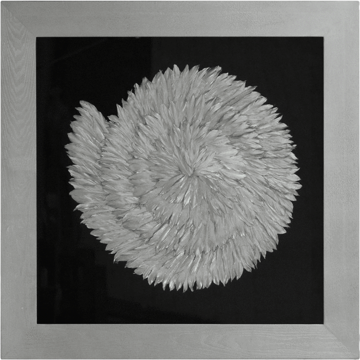 Grovunk Cuadro De Mdf / Pluma De Ganso / Madera / Linio - Floral Design (1024x1024), Png Download