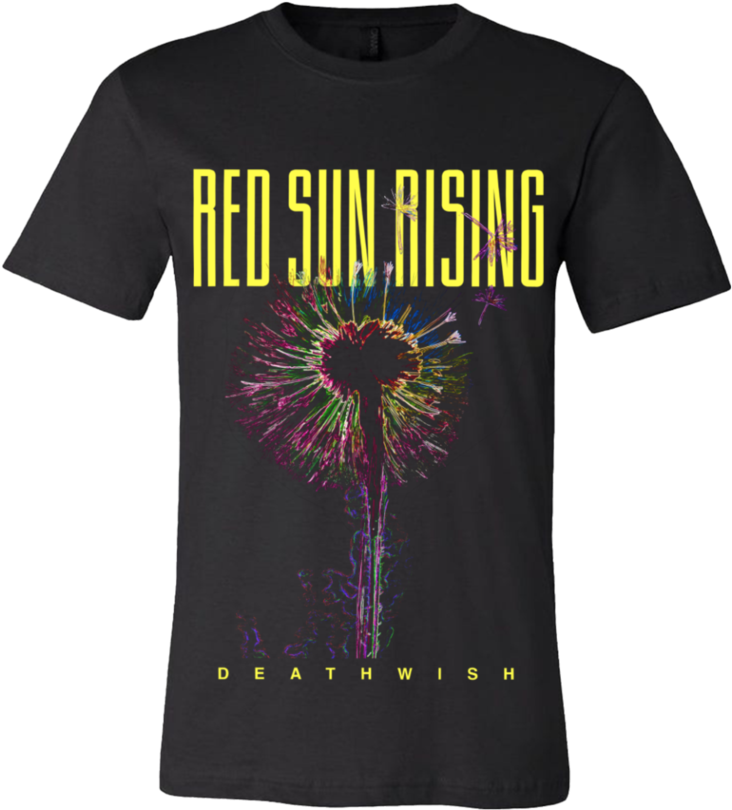 African Daisy (1200x1200), Png Download