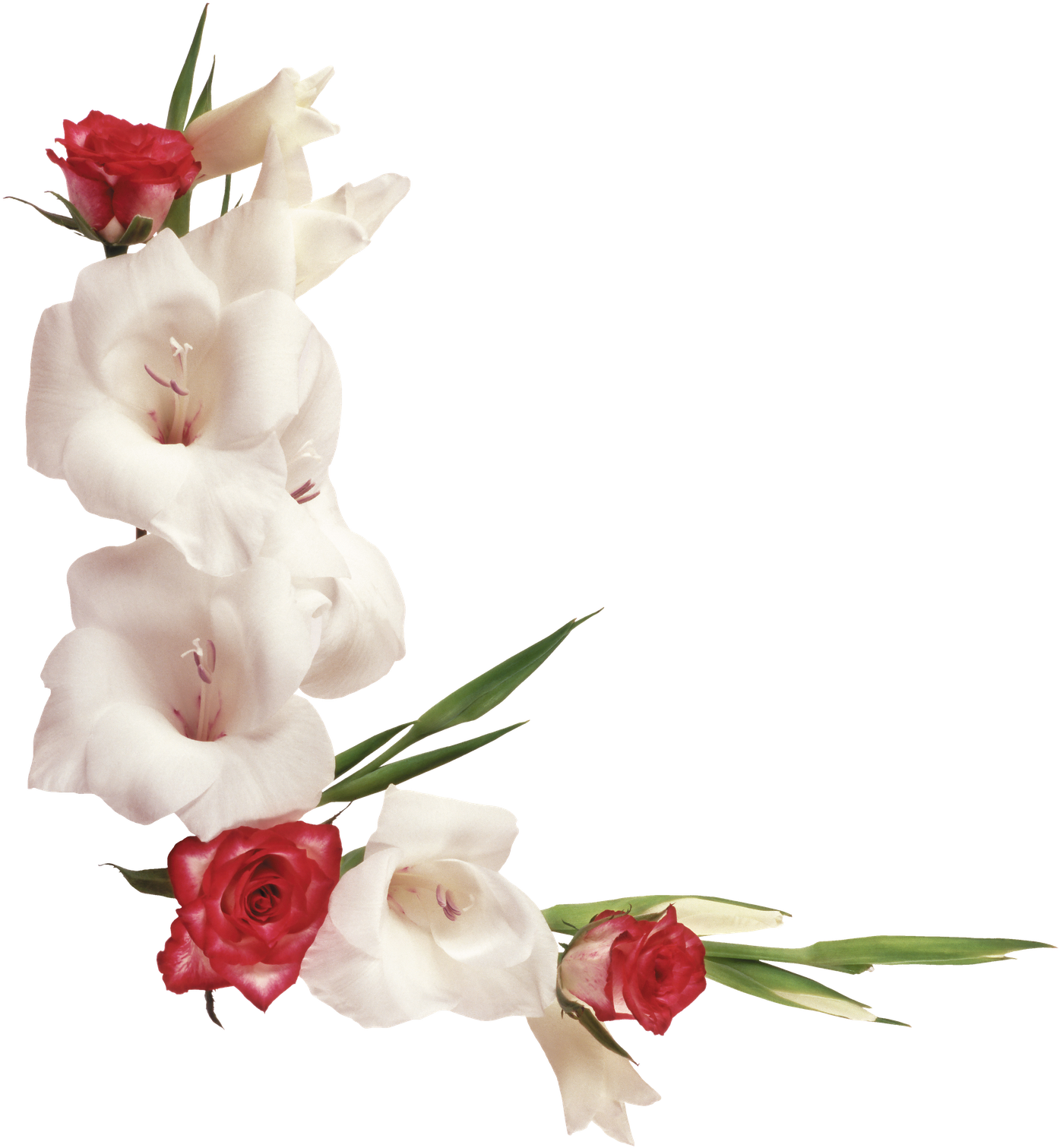 Download Ramos E Flores Png - Marcos De Flores Naturales PNG Image with No Background Download Ramos E Flores Png - Marcos De Flores Naturales PNG Image with No Background