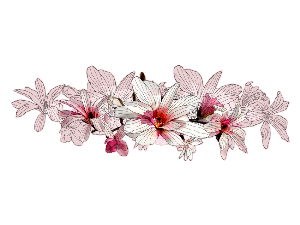Http - //www - Murando - 1 - Png - V Magnolia - Ramo - Cherry Blossom (1000x1000), Png Download