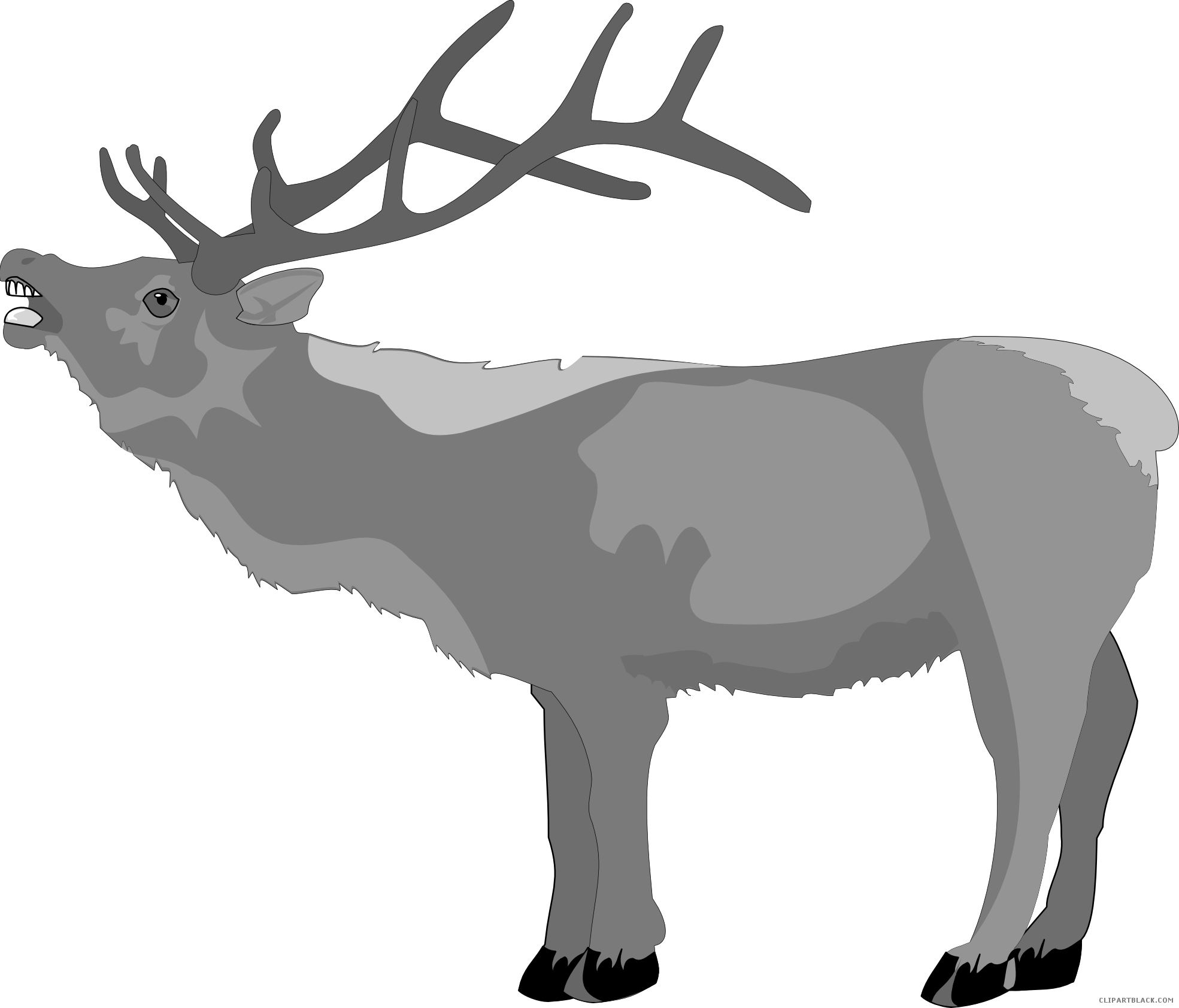 Christmas Reindeer Clipart - Christmas Deers Black And White (1969x1683), Png Download