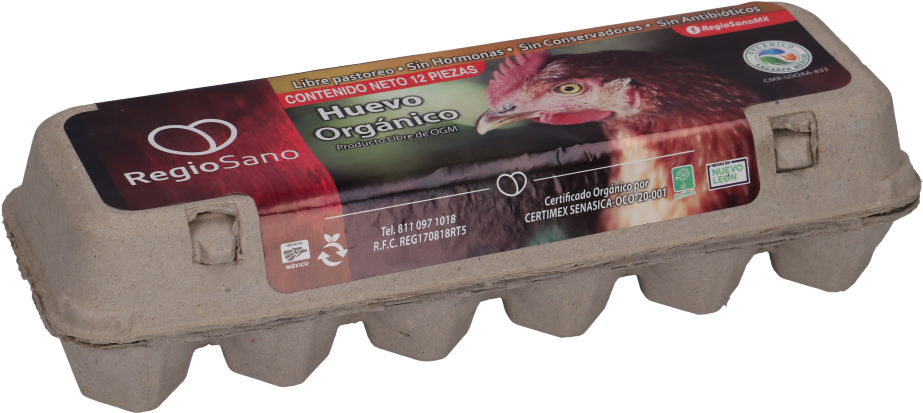 Water Gun (1024x1024), Png Download