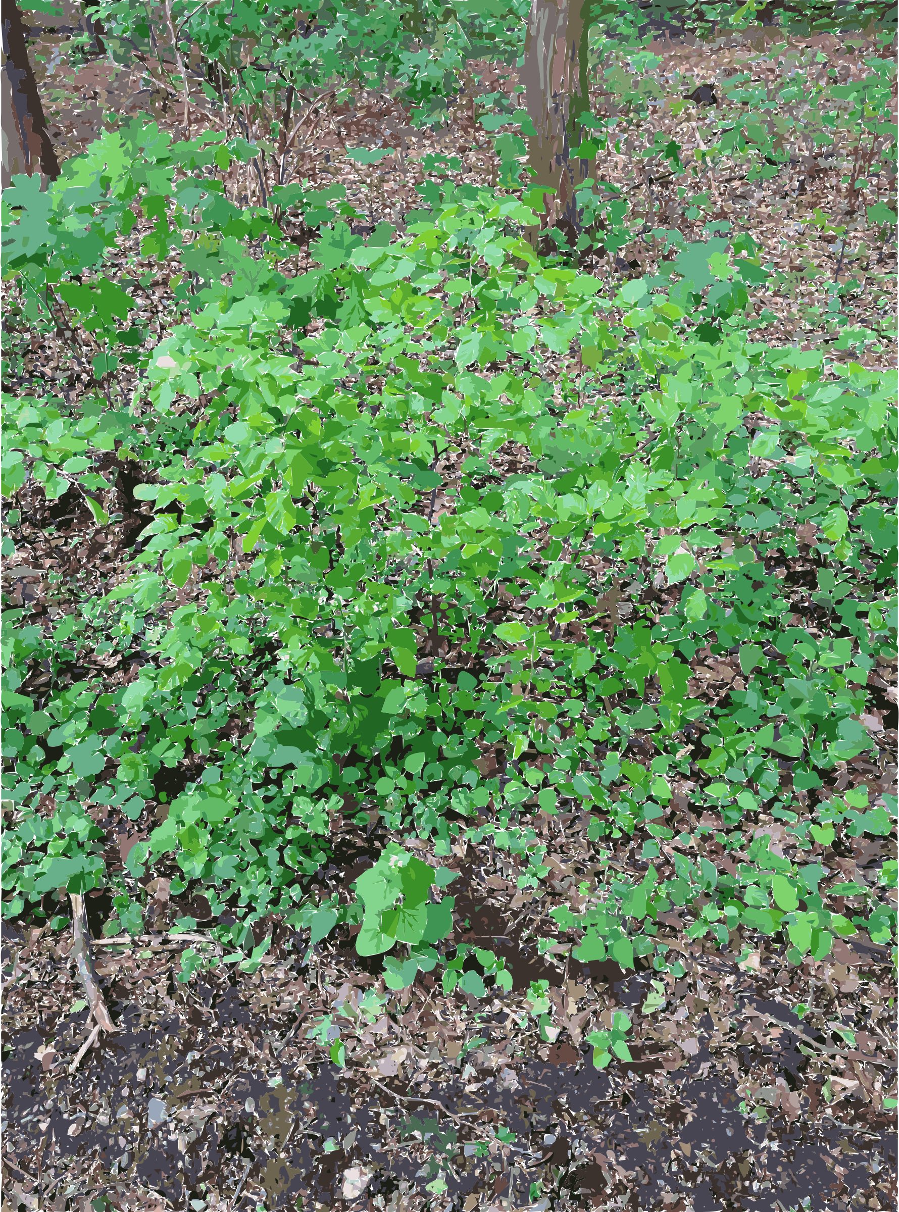 This Free Icons Png Design Of Lichtscheid Forest Again (1780x2400), Png Download