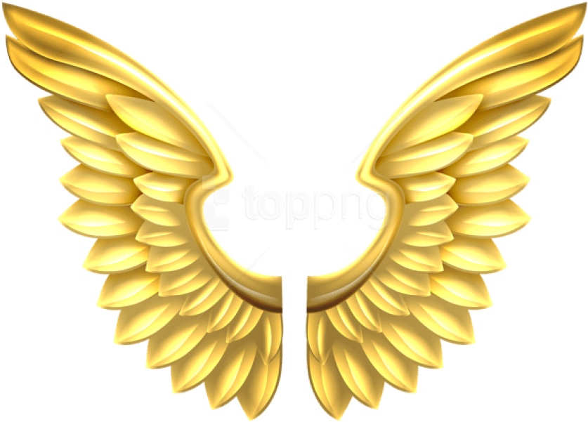 Free Png Download Gold Wings Transparent Clipart Png - Golden Angel Wings Png (850x604), Png Download