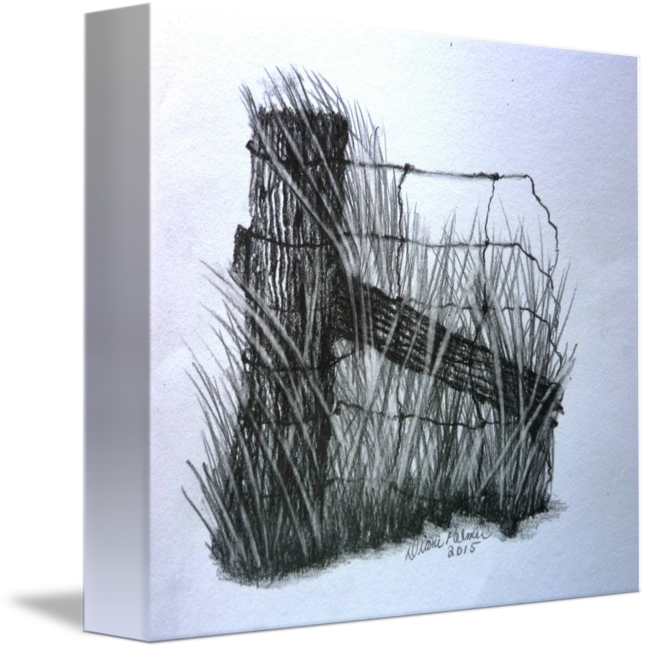 Branch Drawing Art - Old Farm Fence Drawing (647x650), Png Download