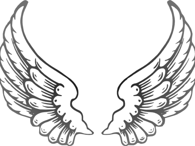 Angel Wings Png Outline (640x480), Png Download