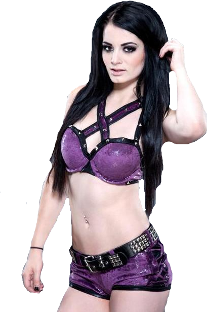 Wwe The-mcmeggers - Lingerie Top (497x621), Png Download