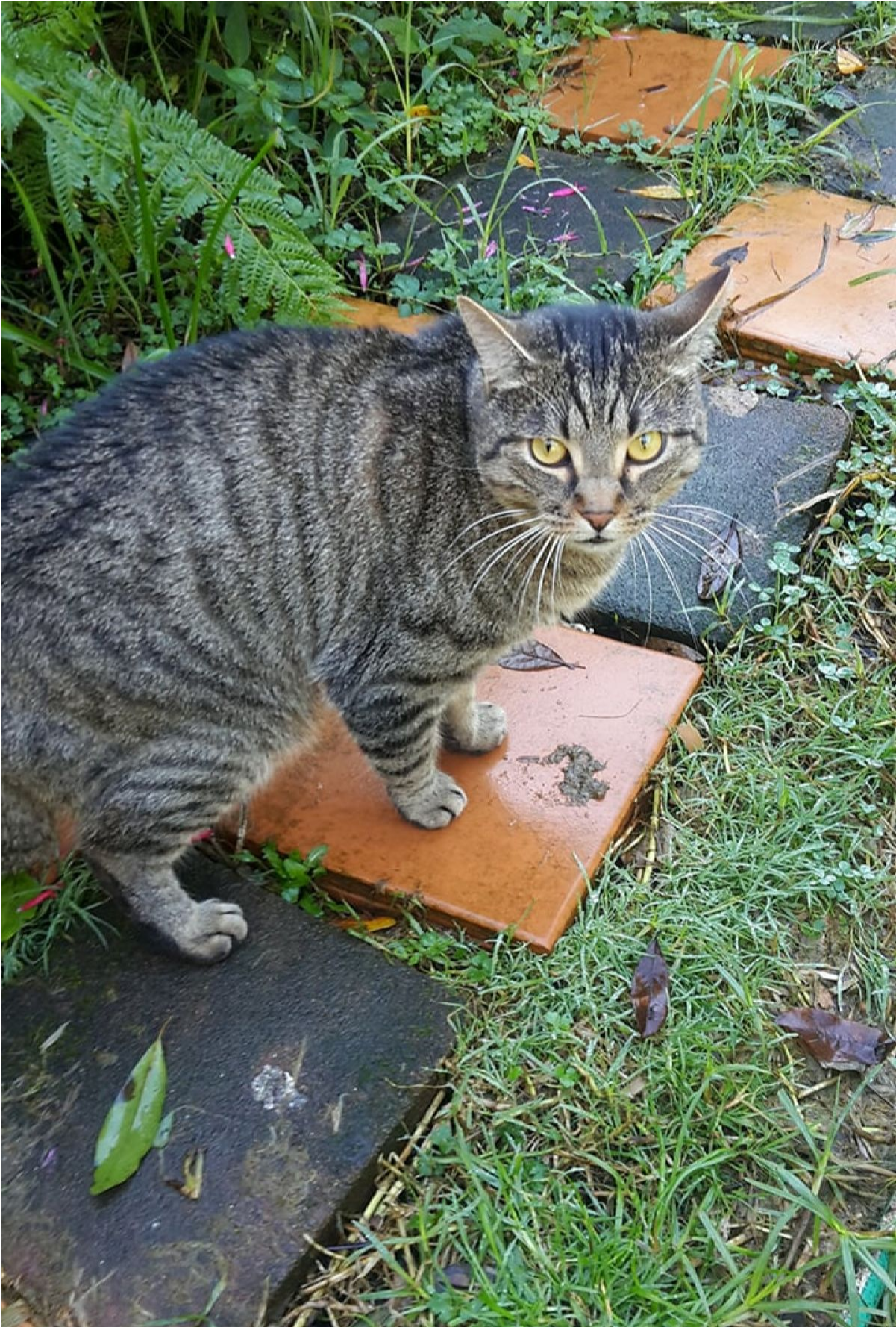 Sightings (1777x1777), Png Download