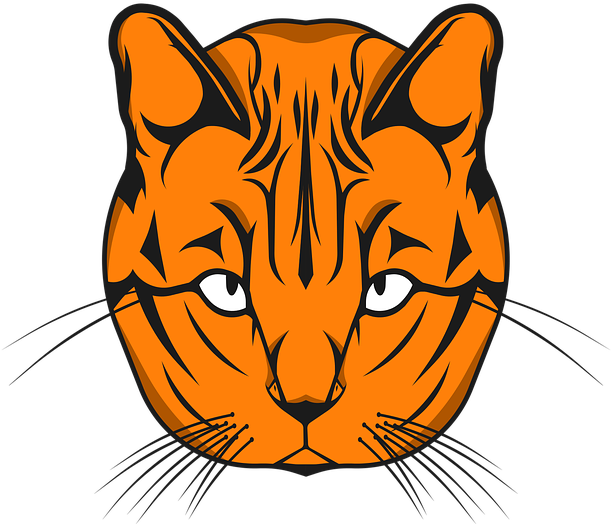 All About Cats (720x720), Png Download