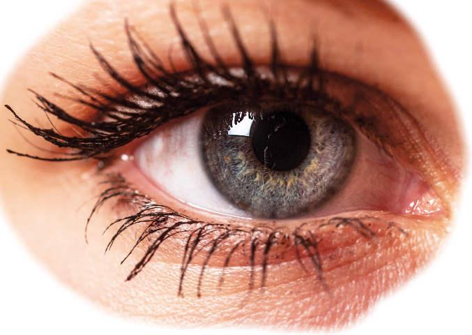 Dilated Eyes In Love (677x480), Png Download