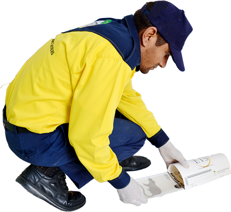 Rat Trap - Construction Worker (800x782), Png Download