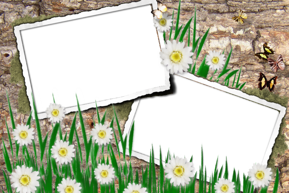 Moldura Para Fotos Flores - Molduras Para Fotos Online (1000x671), Png Download