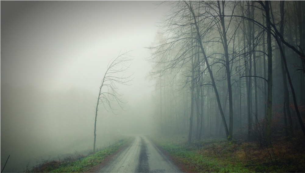 Score 50% - Dirt Road (1000x1000), Png Download