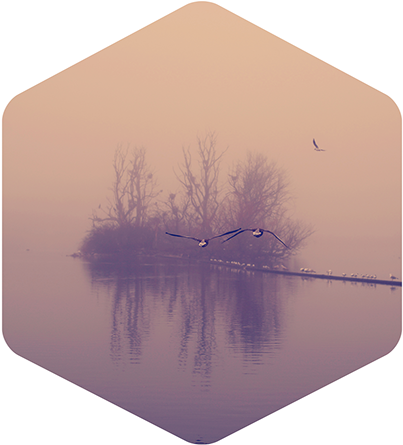 Sign Up To Join The Conversation - Reflection (600x600), Png Download