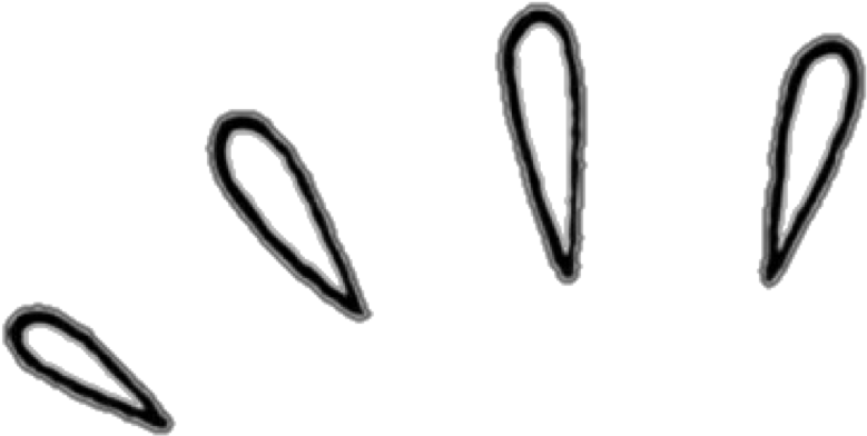 #white #shine #outline #aesthetic #tumblr #remix #remixit - Cute Overlays Png (1024x595), Png Download