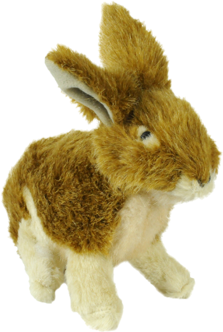 Httpwww - Atwoodsoutdoors - Comimagespet21590780 - Domestic Rabbit (700x700), Png Download