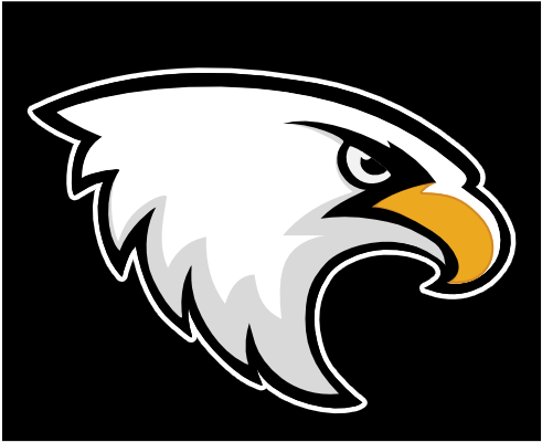 Image Result For Virtus Pro Logo - Eagle (600x600), Png Download