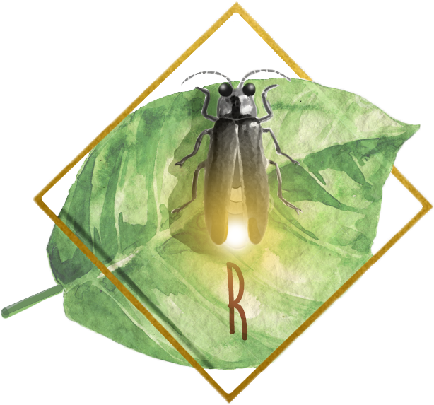 Logo - Fly (711x600), Png Download