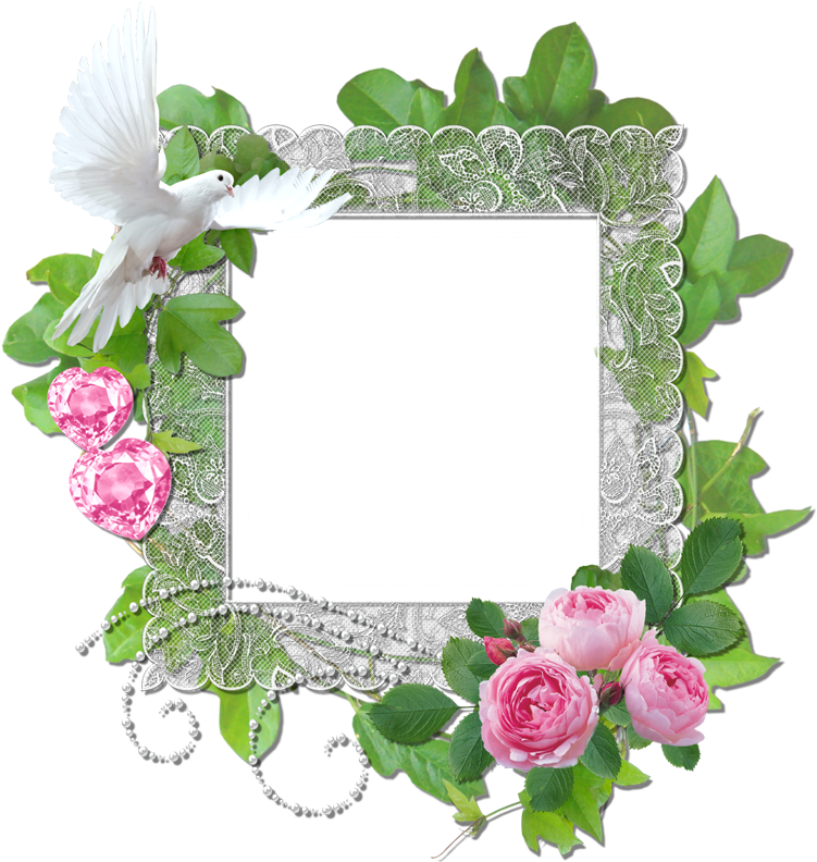 Green Frame Freebie - Green Rose Frame Png (800x800), Png Download