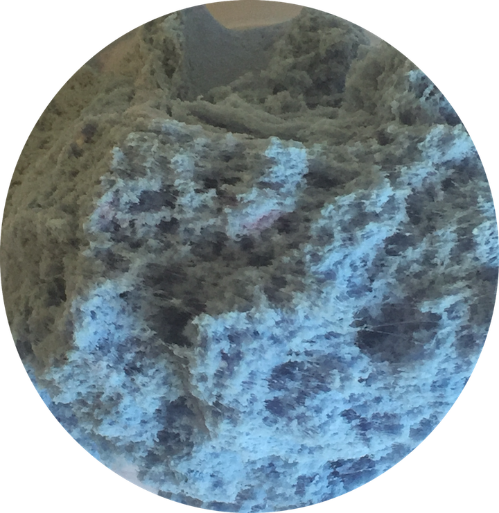 Img 9515 Small - Circle (720x740), Png Download