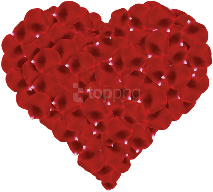 Free Png Rose Petals Heart Transparent Png - Heart (850x767), Png Download