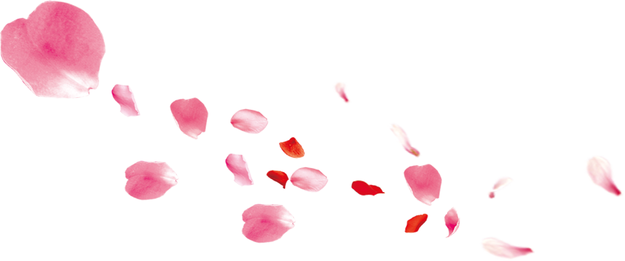 Falling Pink Petals Transpa Png Clipart Free Ya - Mid-autumn Festival (1246x521), Png Download