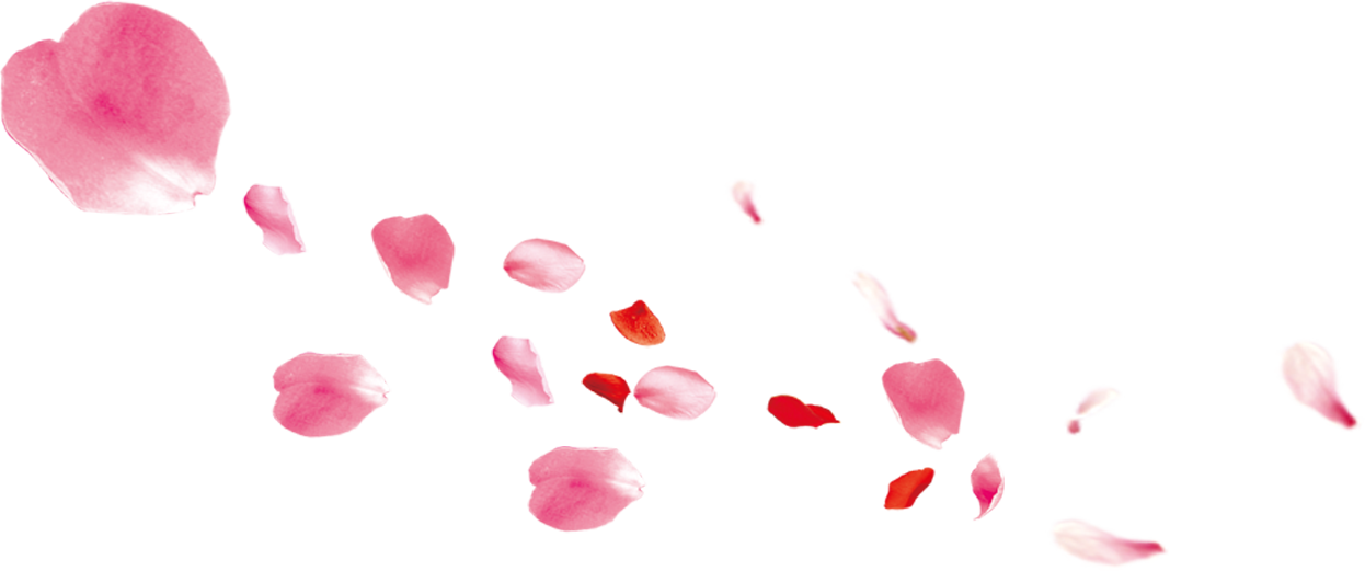 Download Falling Pink Petals Transpa Png Clipart Free Ya Mid Autumn Festival Png Image With No Background Pngkey Com