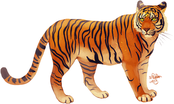 Visit - 600 Dpi Tiger (640x640), Png Download