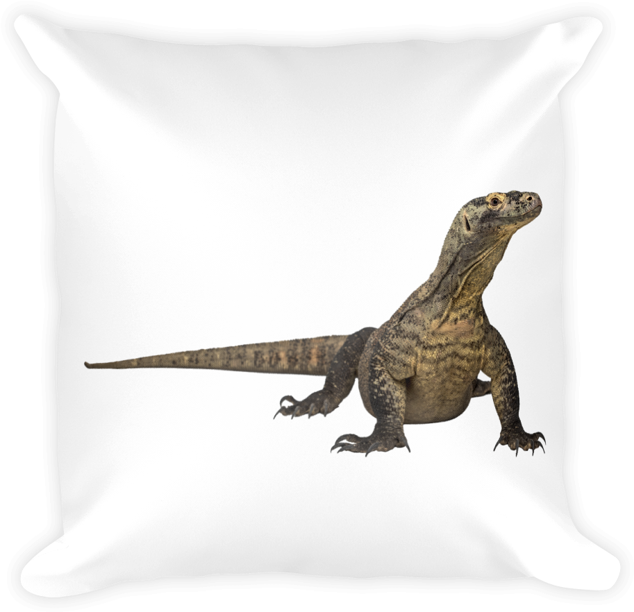 Komodo-dragon Print Square Pillow - Komodo Dragon (1000x1000), Png Download