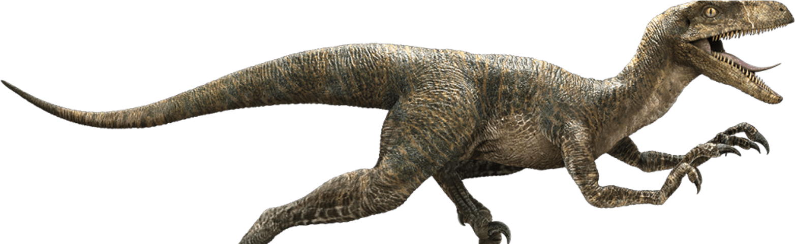 Jurassic World Dinosaurs Png (1600x480), Png Download