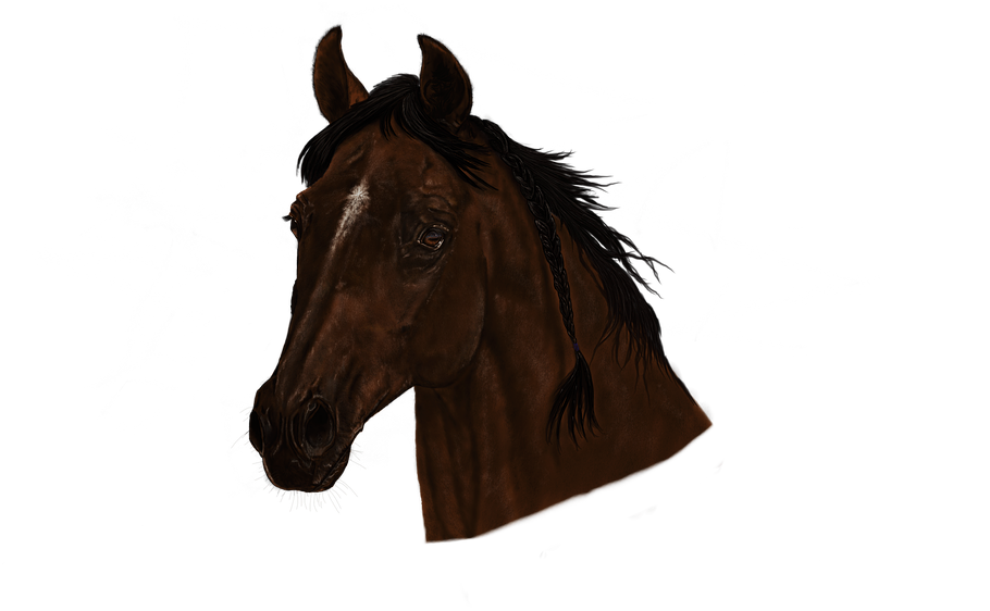 Horse Head Png - Sorrel (960x623), Png Download