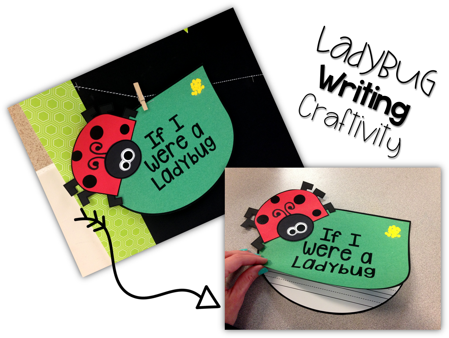 Students Will Write About If They Were A Ladybug - Ladybug (1544x1122), Png Download