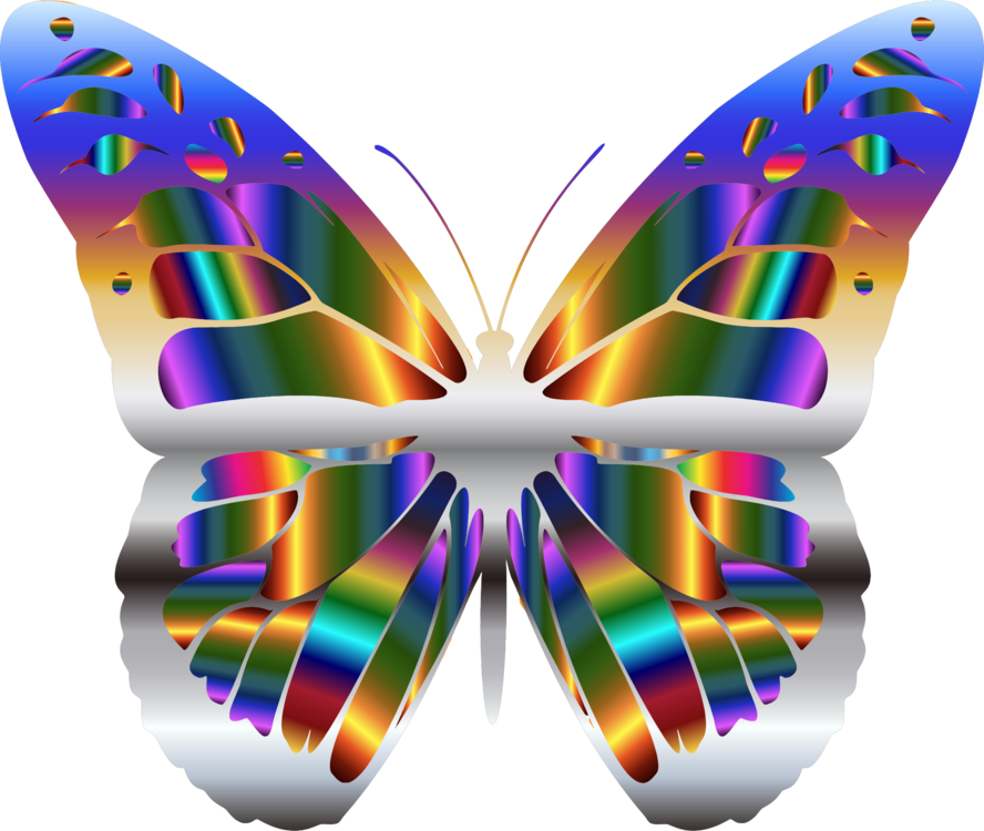 Brush-footed Butterflies Monarch Butterfly Animal Iridescence - Transparent White Butterfly Clipart (888x750), Png Download