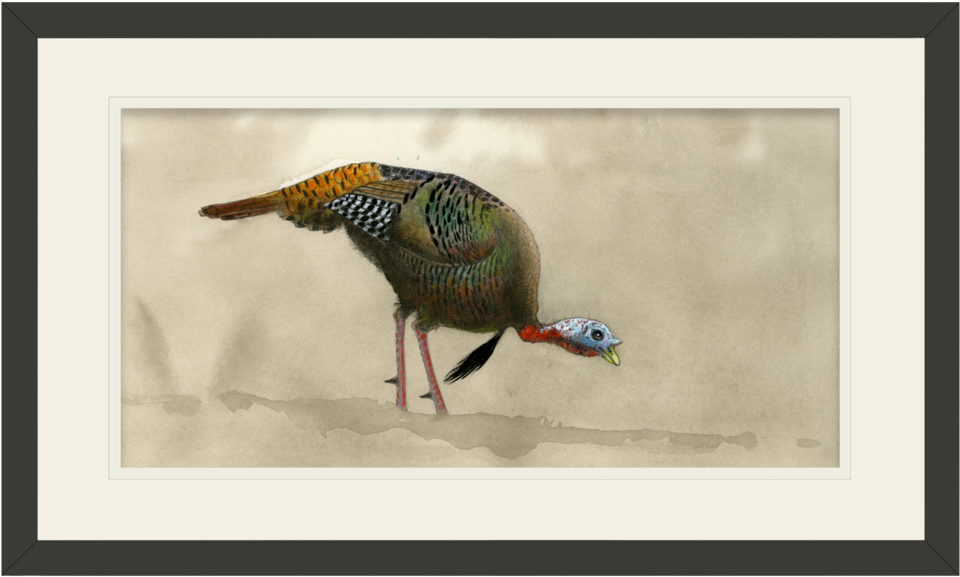 Feeding Tom Original Watercolor Painting - Picture Frame (1023x664), Png Download