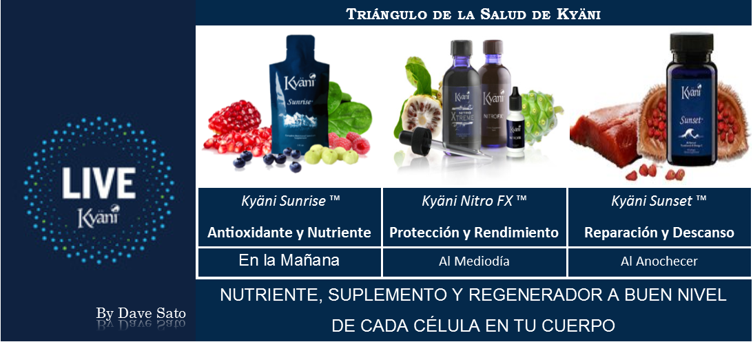 0 Replies 0 Retweets 1 Like - Kyani (1093x497), Png Download