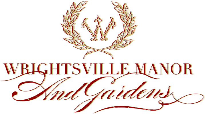 Tying The Knot At - Calligraphy (753x415), Png Download