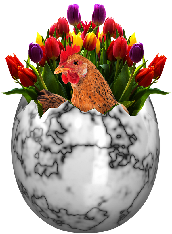 Easter Easter Eggs Happy Easter Easter Egg Decoration - Farewell Images For Colleagues (1280x960), Png Download