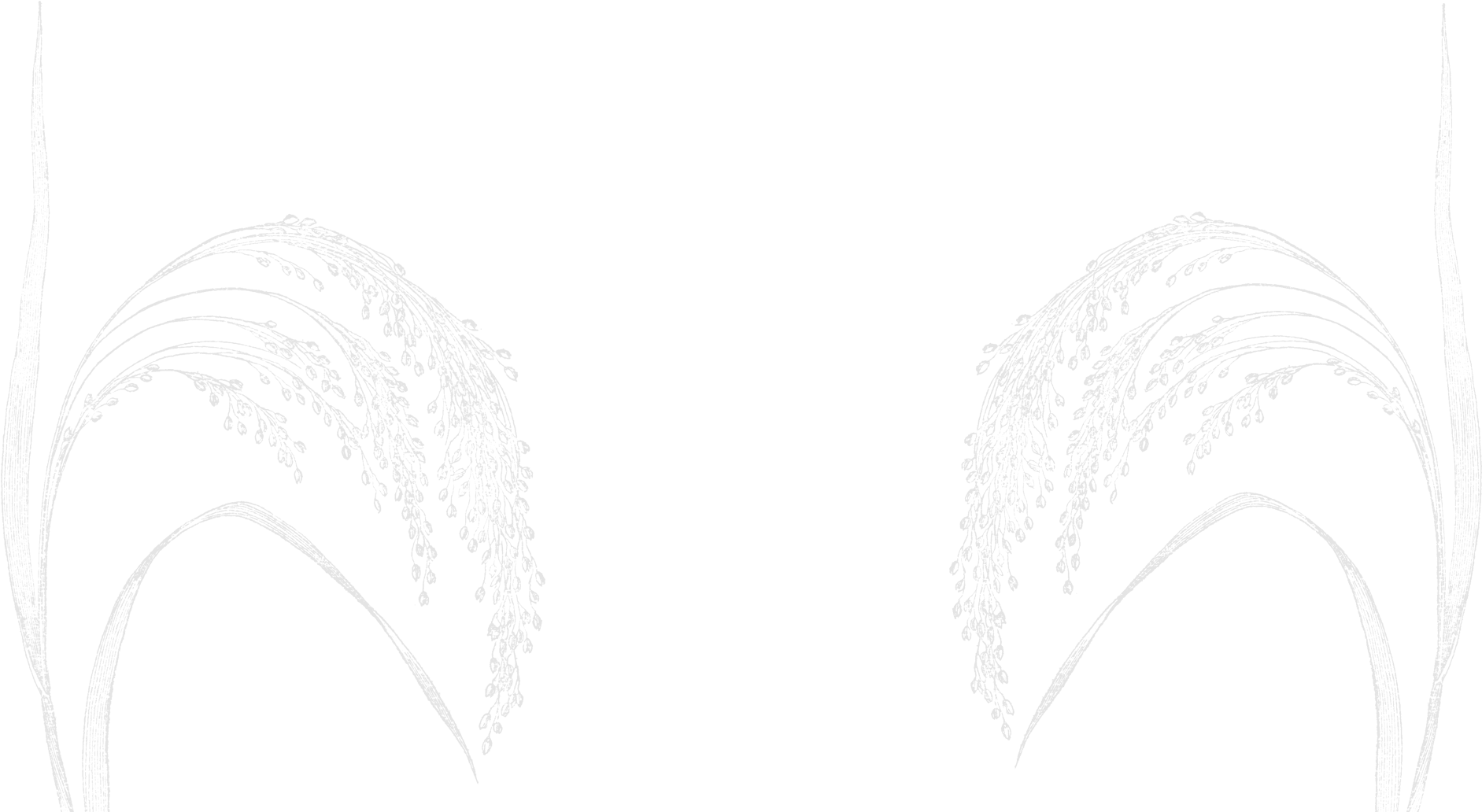 Están Fabricadas Con - Sketch (1920x1080), Png Download