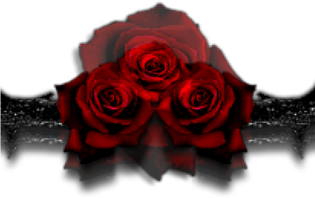 Gothc Clipart Gothic Rose - Red Rose (640x480), Png Download