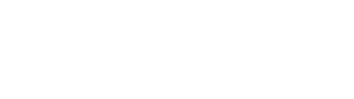 Roni Marinkovic Photography - Twitter White Bird Logo (1200x800), Png Download