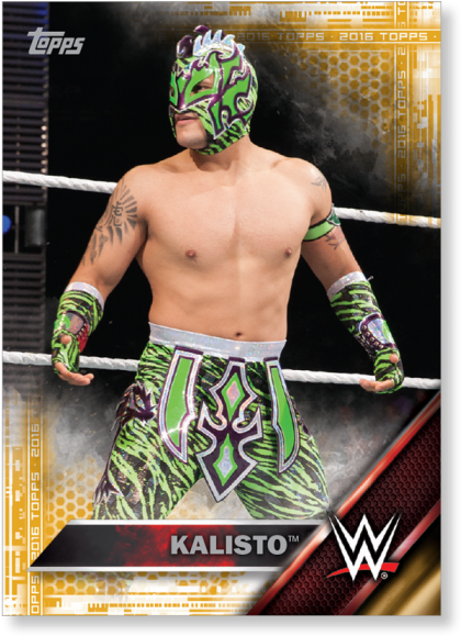 Gallery - Lucha Libre (700x700), Png Download