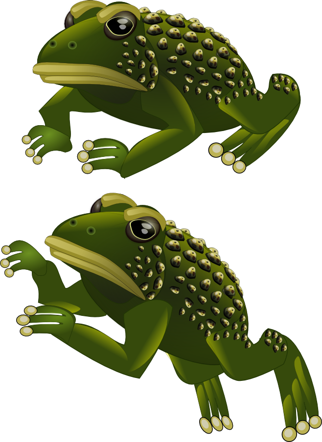 Frog - Frog 2d Png (658x904), Png Download